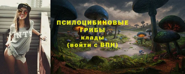 стаф Алексин