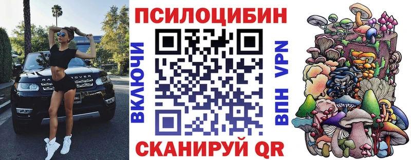 сколько стоит  Сибай  Галлюциногенные грибы Psilocybine cubensis 