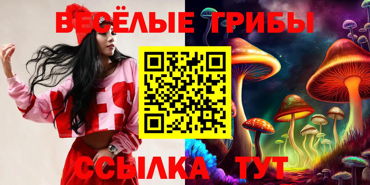 Псилоцибиновые грибы Psilocybe Сибай