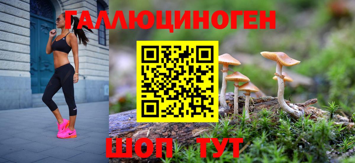 Псилоцибиновые грибы прущие грибы  Вход с VPN  Сибай 
