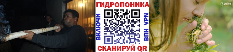 даркнет телеграм Сибай Каннабис White Widow